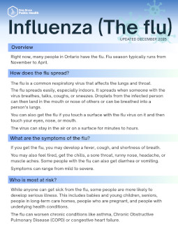 Influenza - the Flu